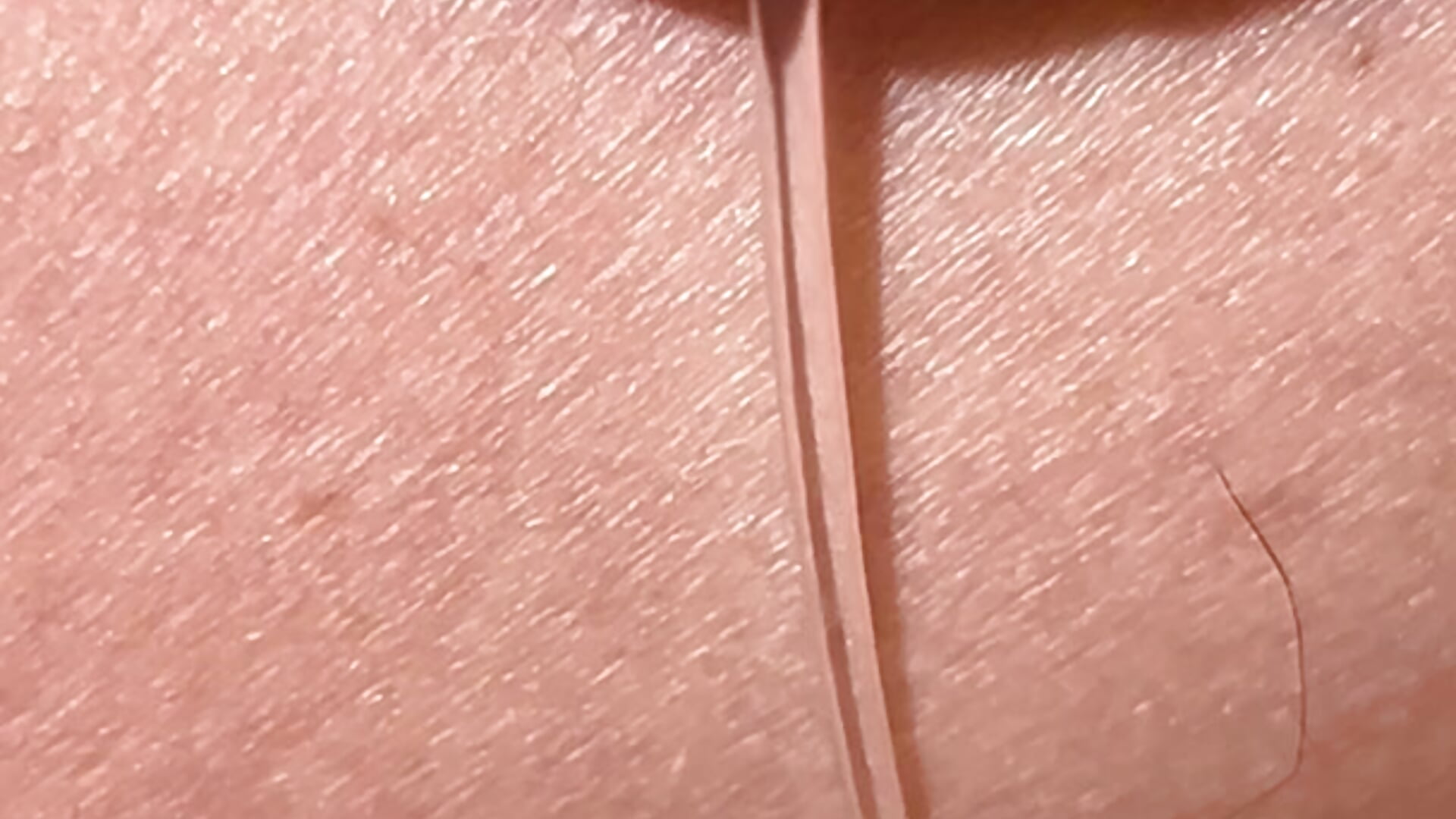 Neu555 Vidéo populaire du modèle de cam  7451