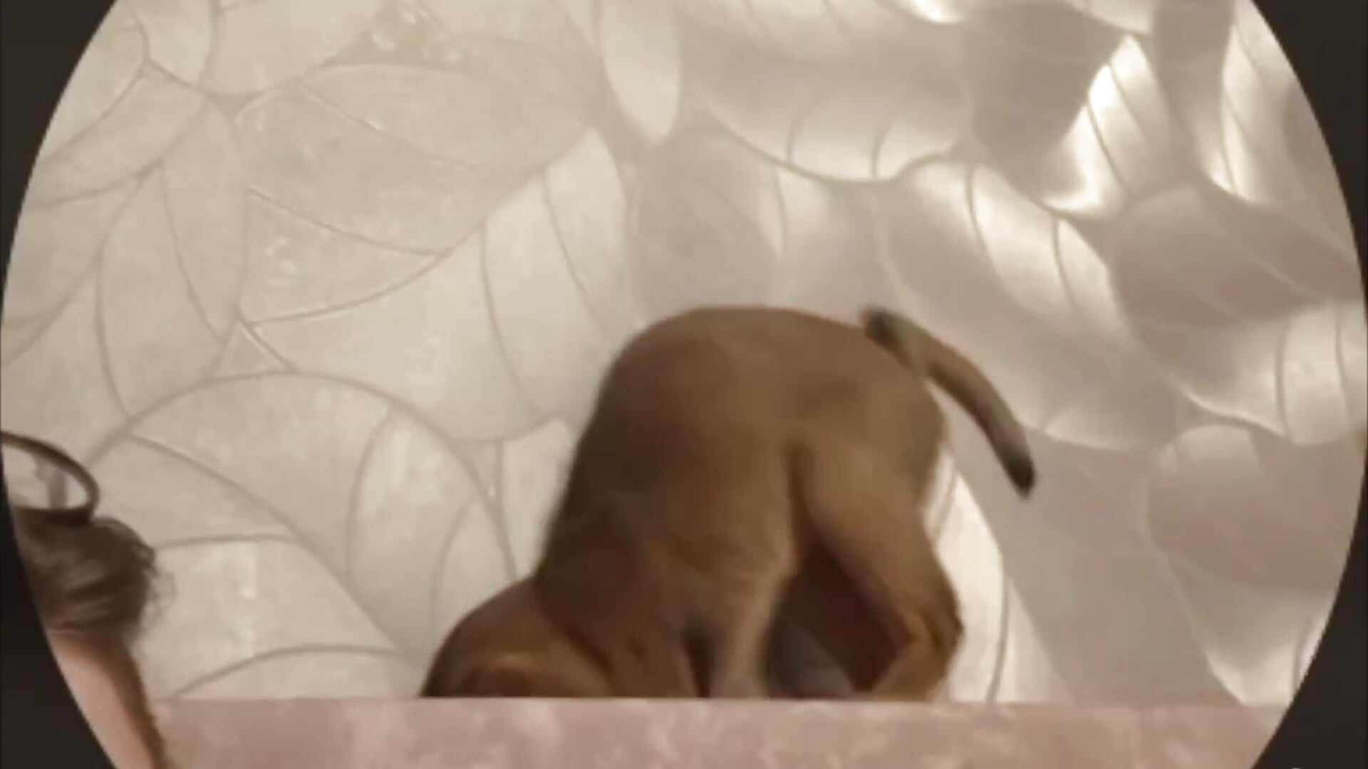 She stole my candy and ran away!!!! Thief – видео вебкам-модели LanaTreades