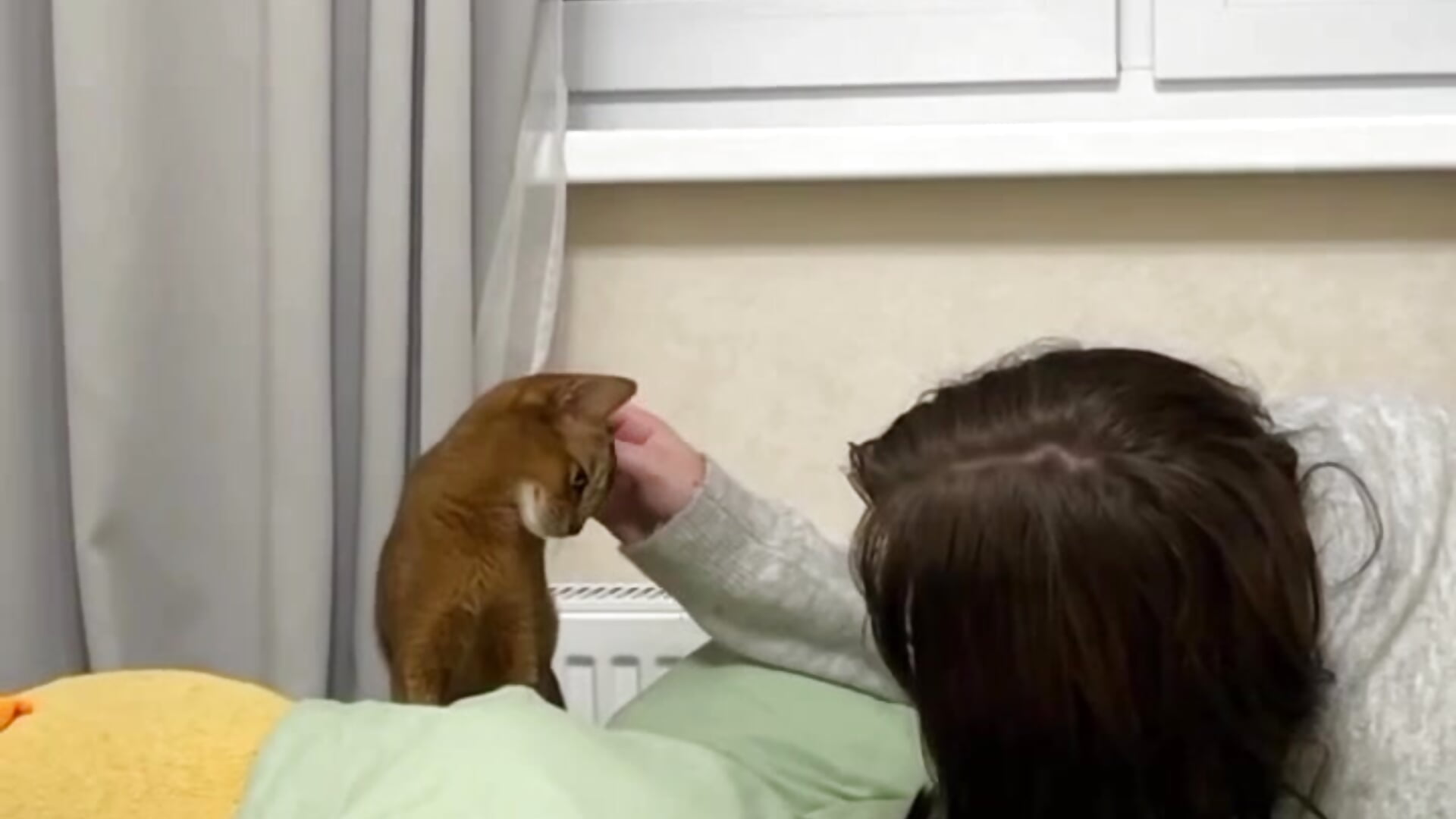 French cats! - video by LanaTreades cam model