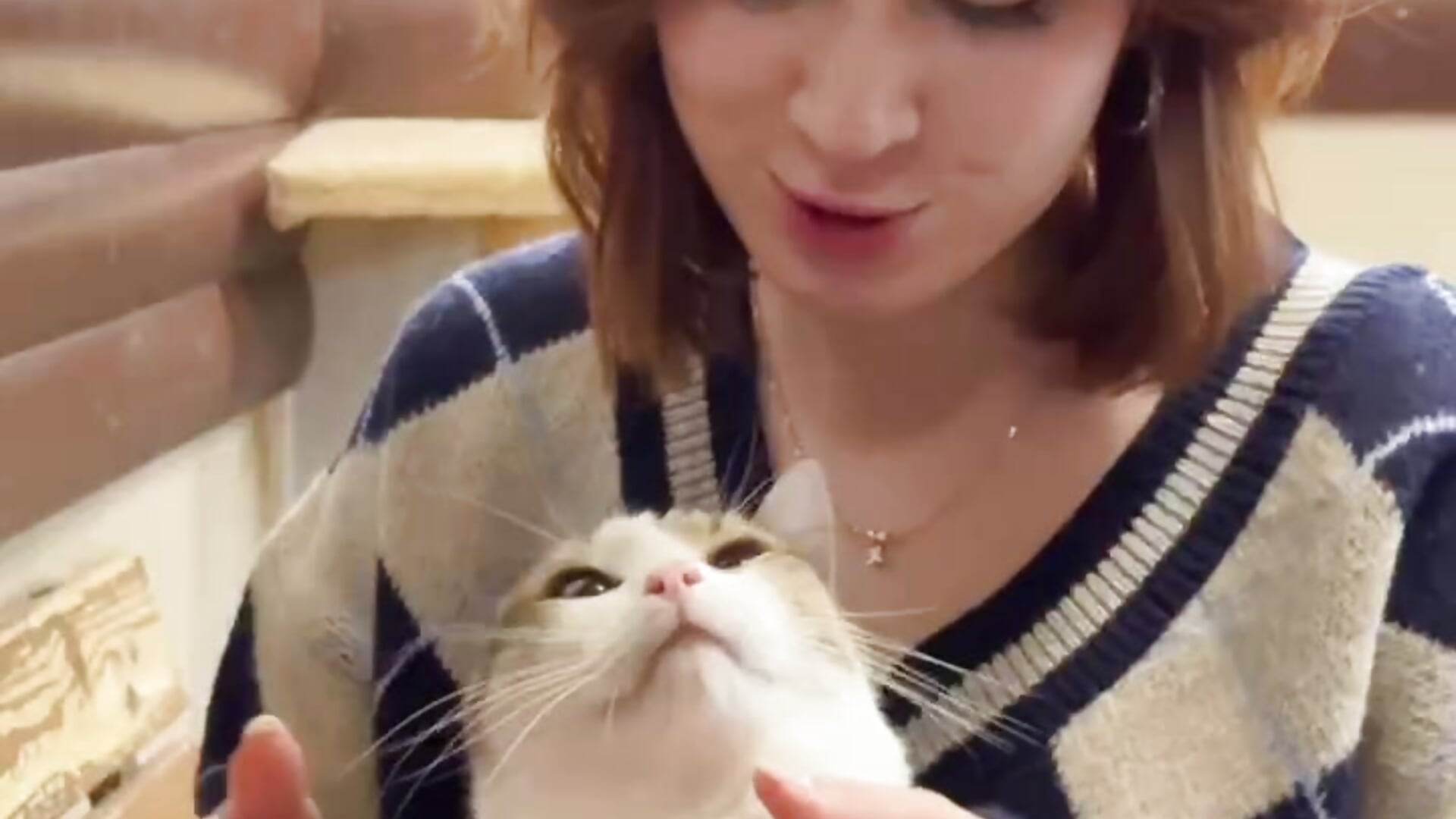 Me and random cat :P - video by StacieLaudadio cam model