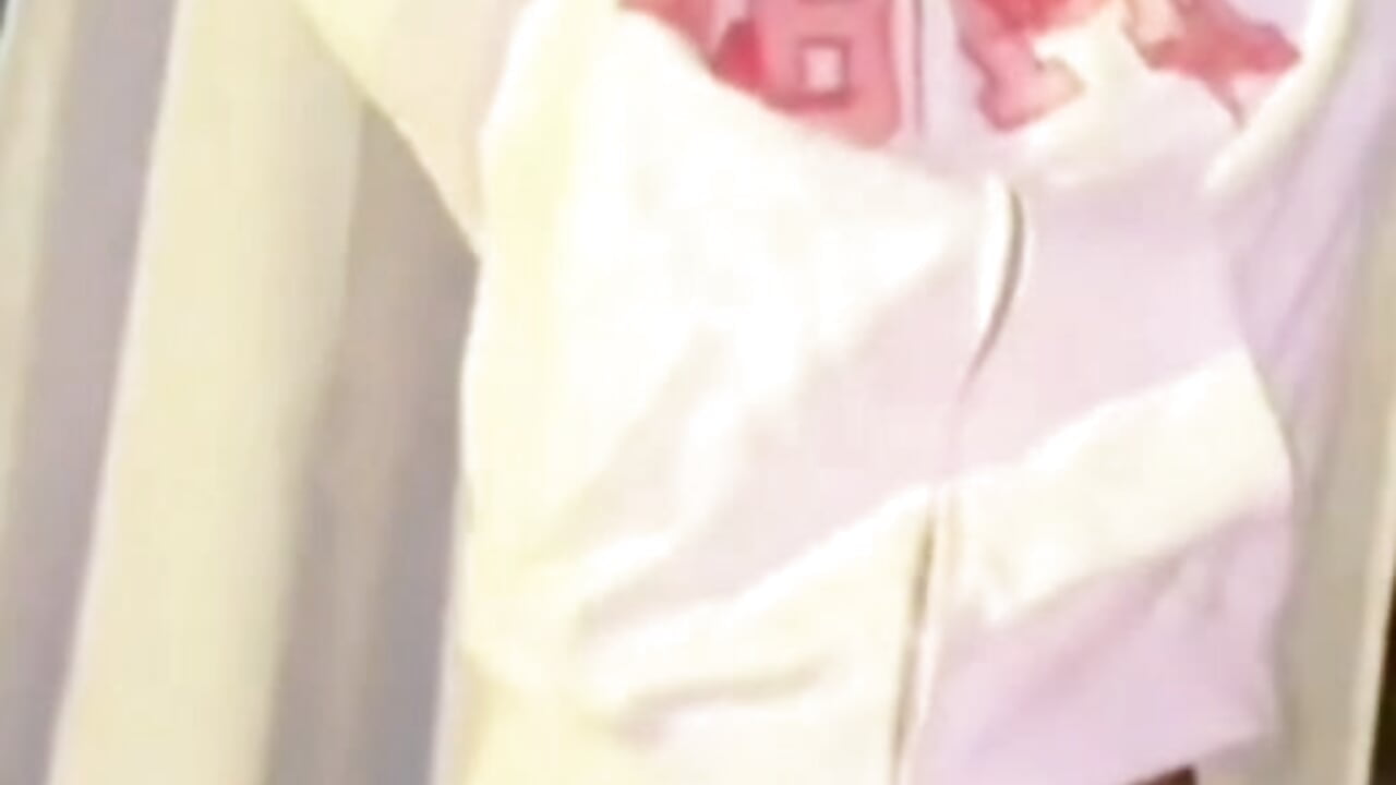 Roller coaster - video by jackdaniels95750 cam model