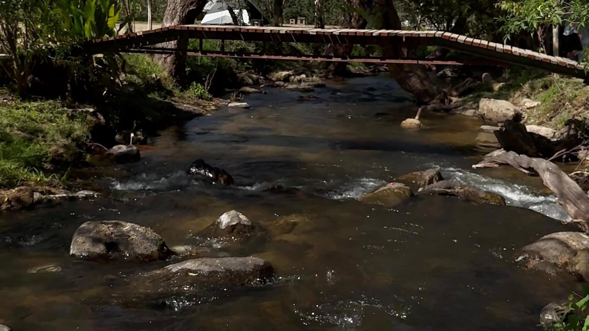 🌱⛅️🦋 - video by Meilin_lin cam model