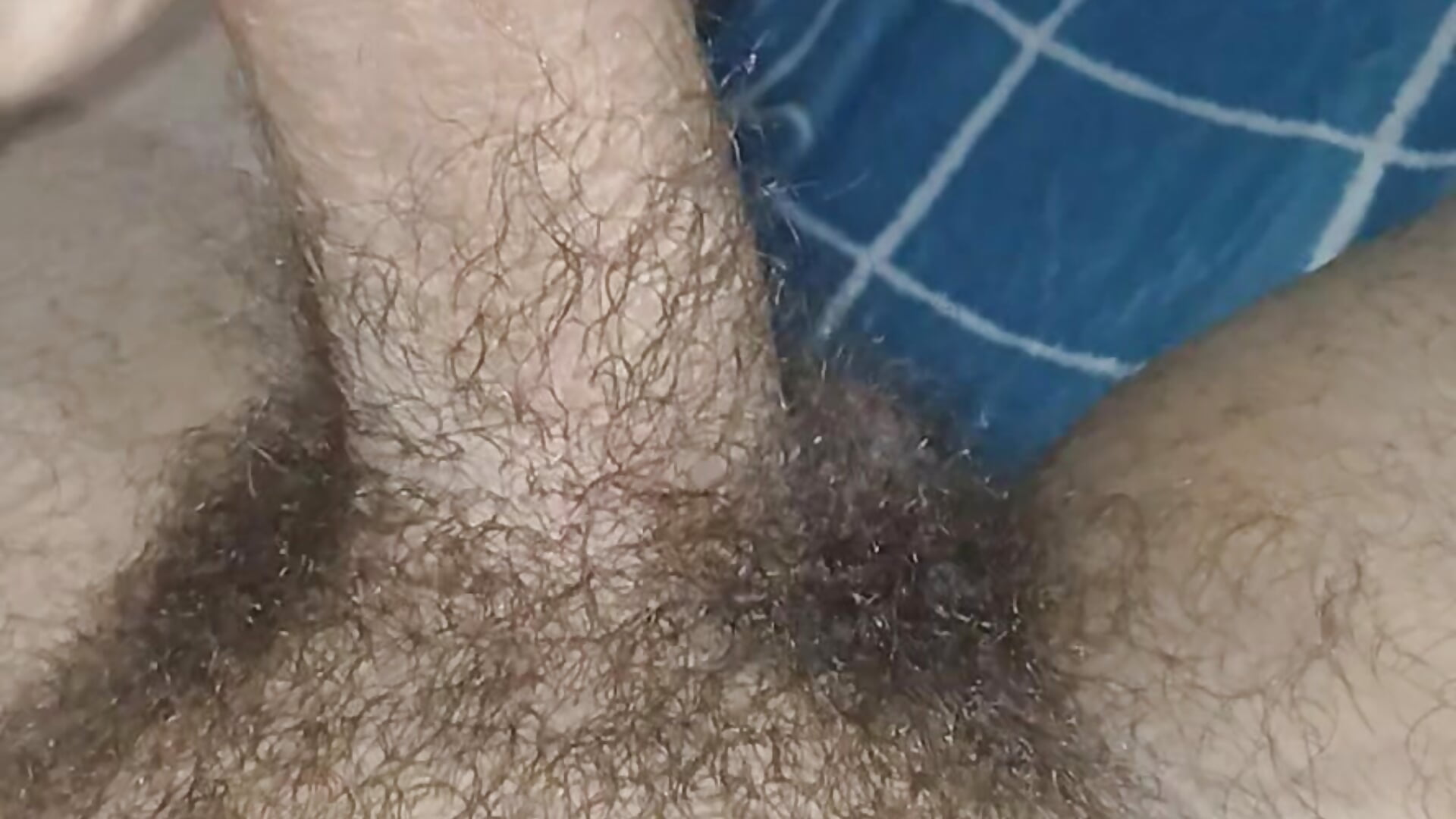 Punha e gozada com briquedo