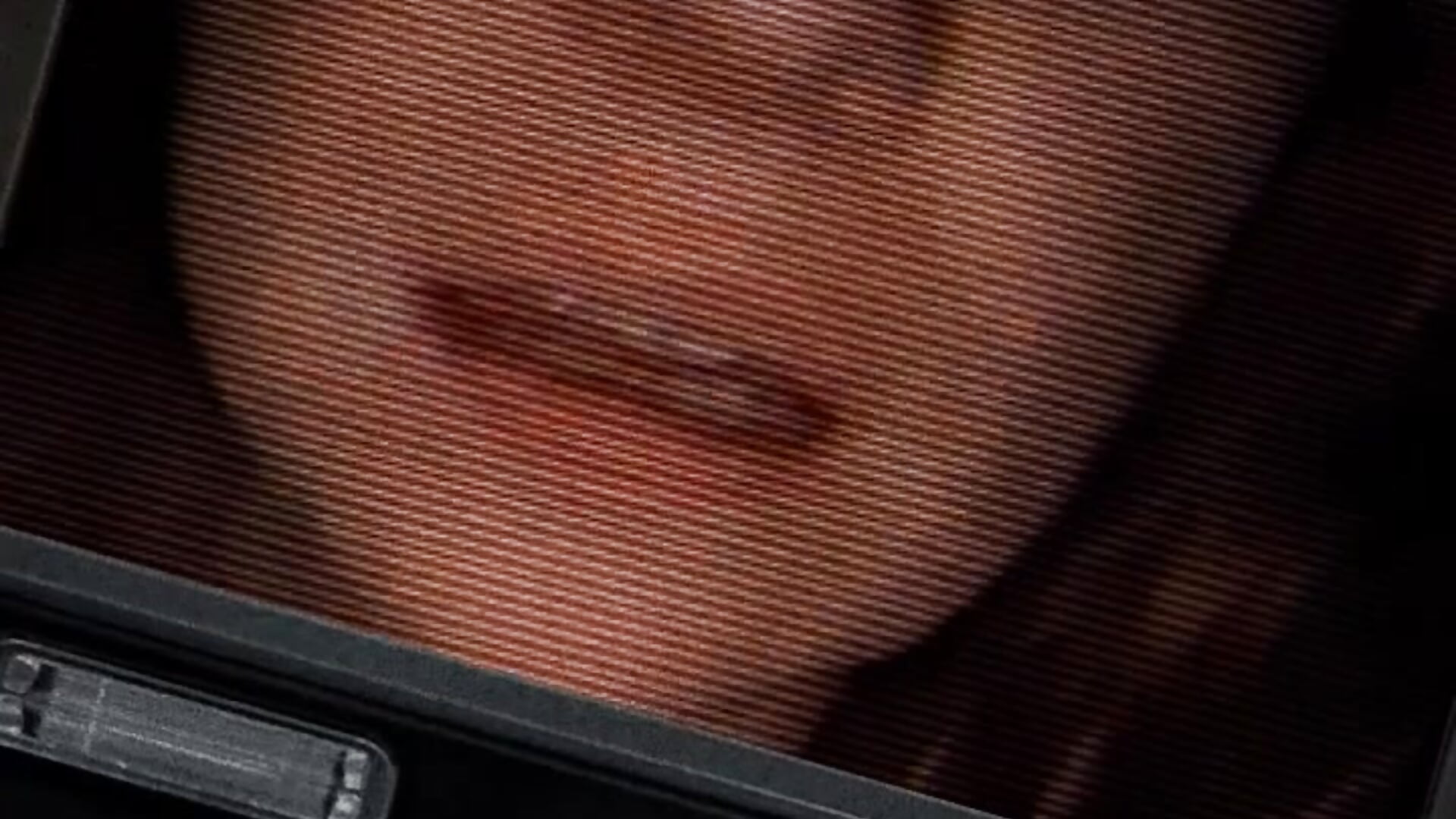 Sick this week available for messaging — filmik Lenaravenswood, modela(-lki) na kamerkach