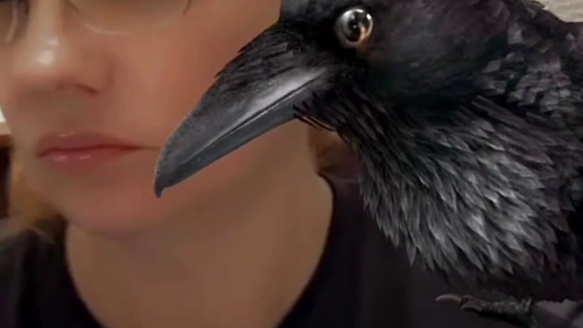 Pretty Bird — filmik Lenaravenswood, modela(-lki) na kamerkach