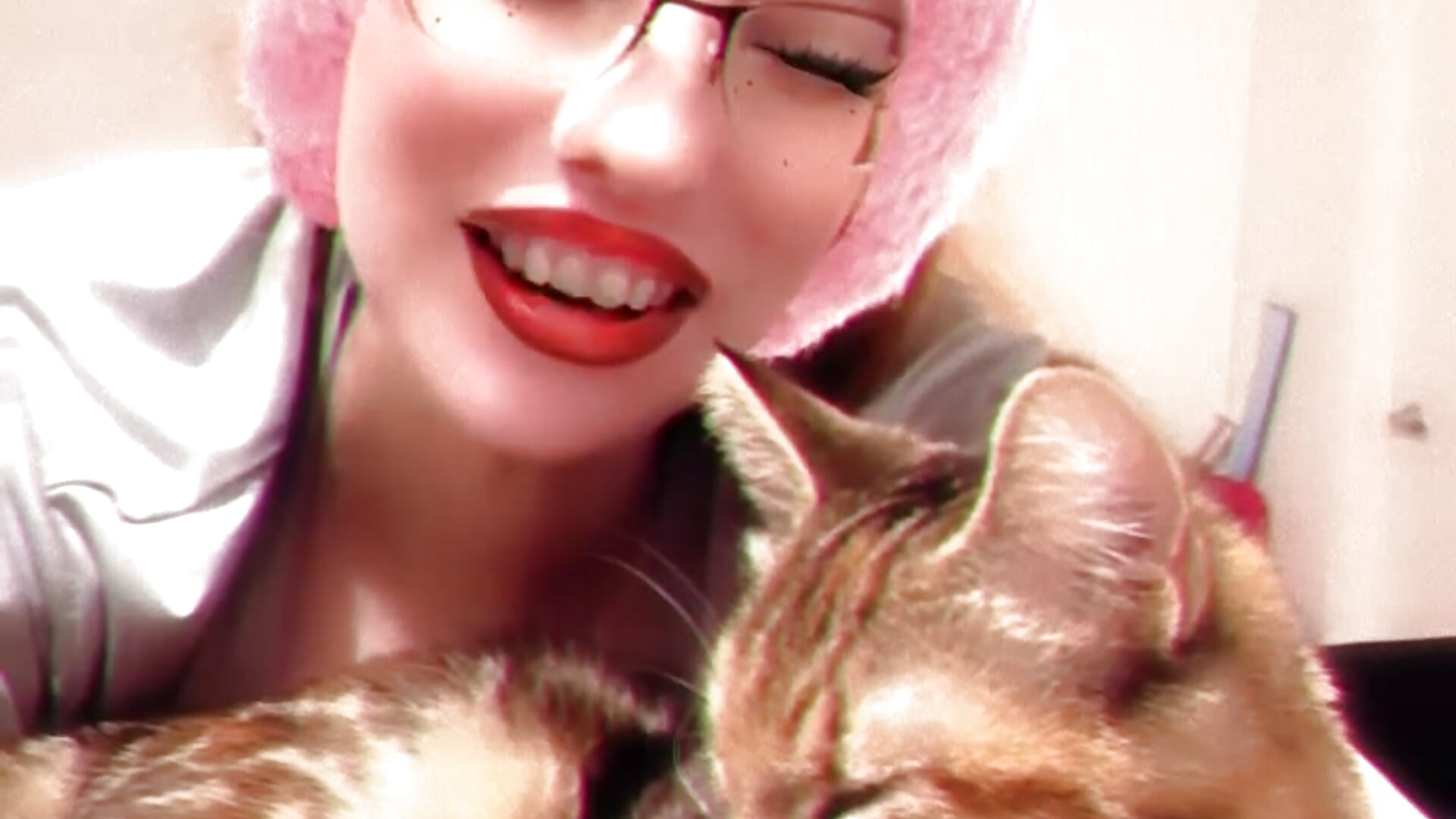 Cute kitty - vídeo de Lenaravenswood modelo de câmara