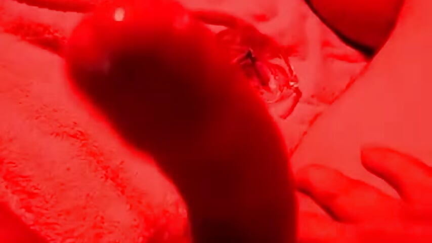 Arde mami - video van Tulechitarika cam-model