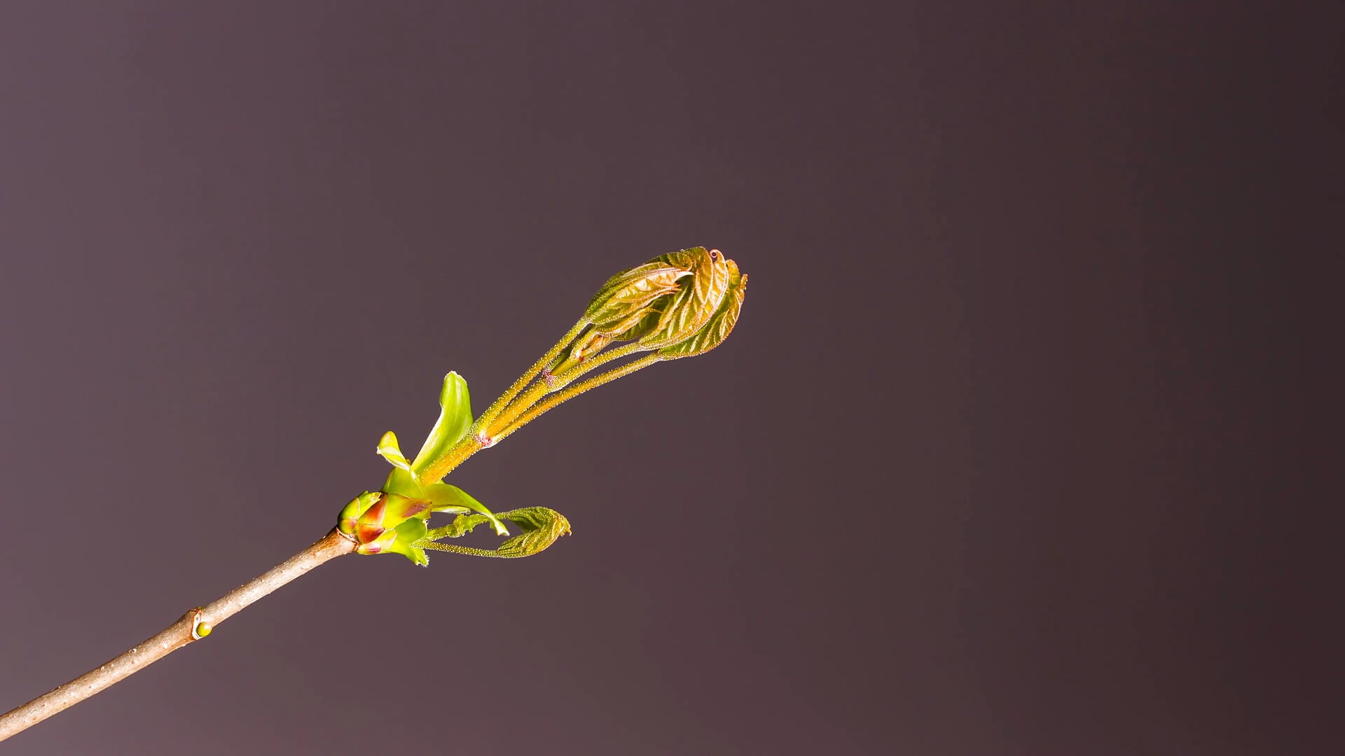 ^^ - Video von Anitaa_Kiss Cam-Model