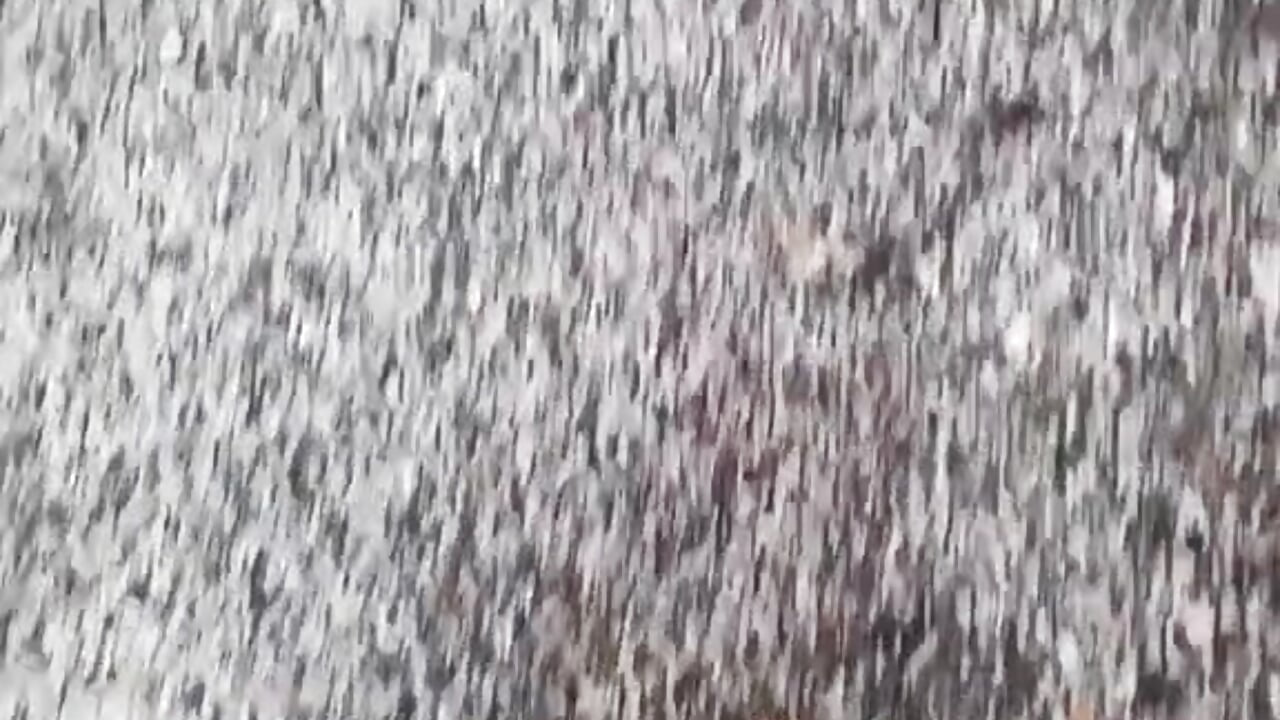 -walk 🚶‍♀️ - відео від вебкаммоделі Riya_Vip