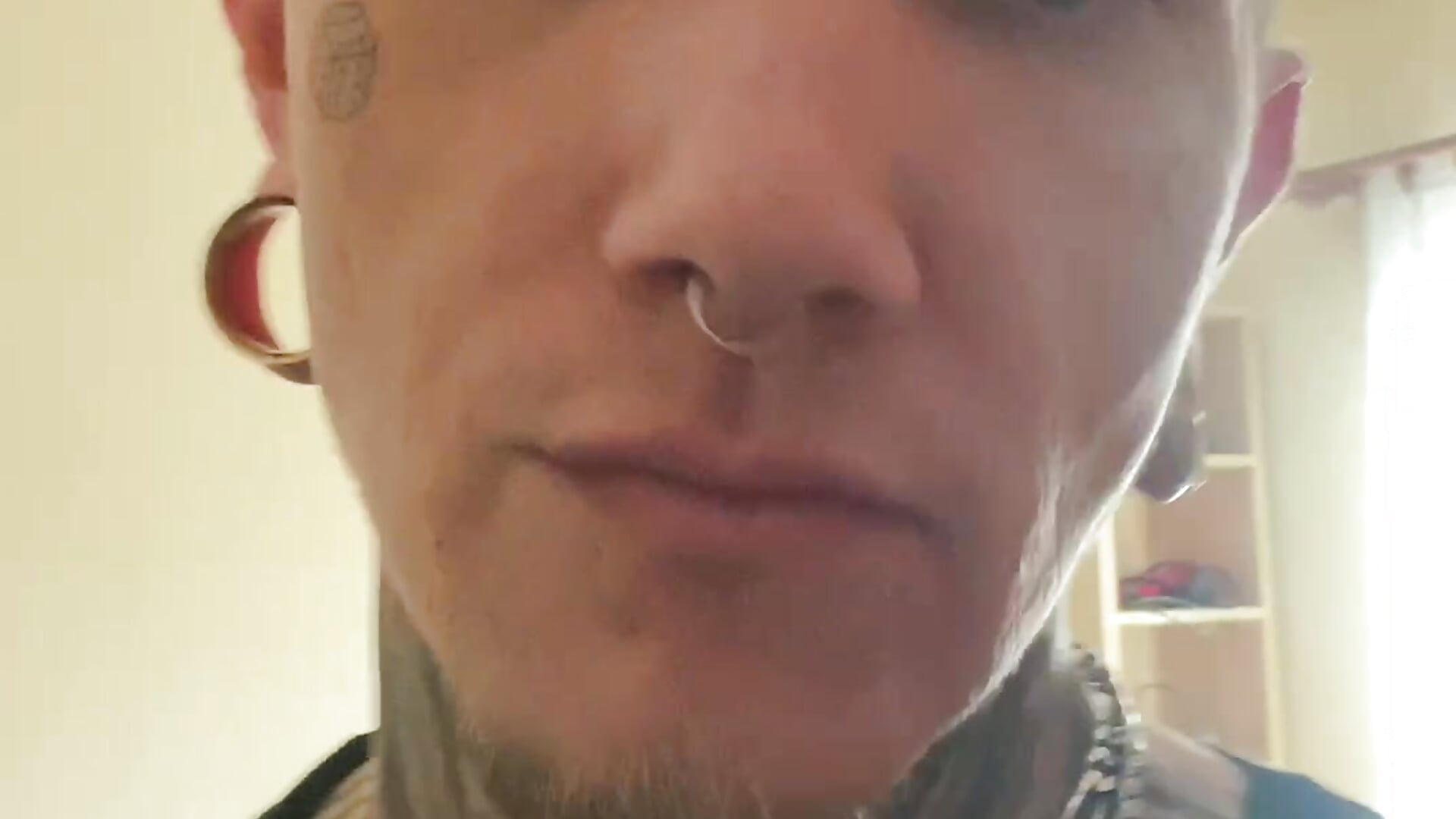 Bod mods - video by paulvelvet cam model