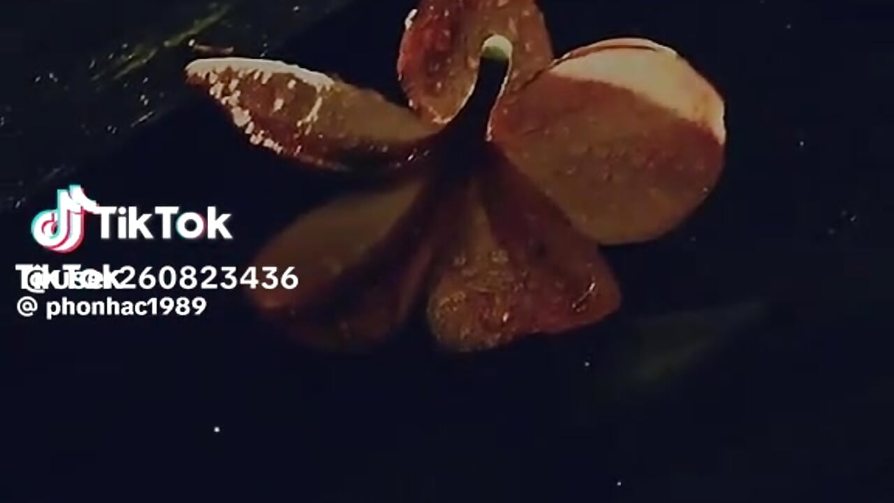 v14044g50000d4j82fvog65pkb99m550 - video by Beautiful_girl2 cam model