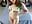 Hippie style - video by A1ice_Jade cam model