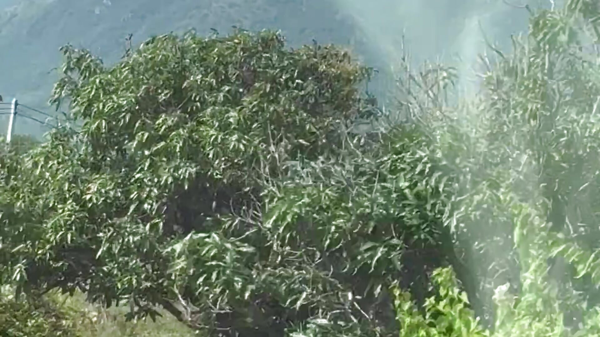 The beginning of the journey - video oleh LexiMoss kamera model