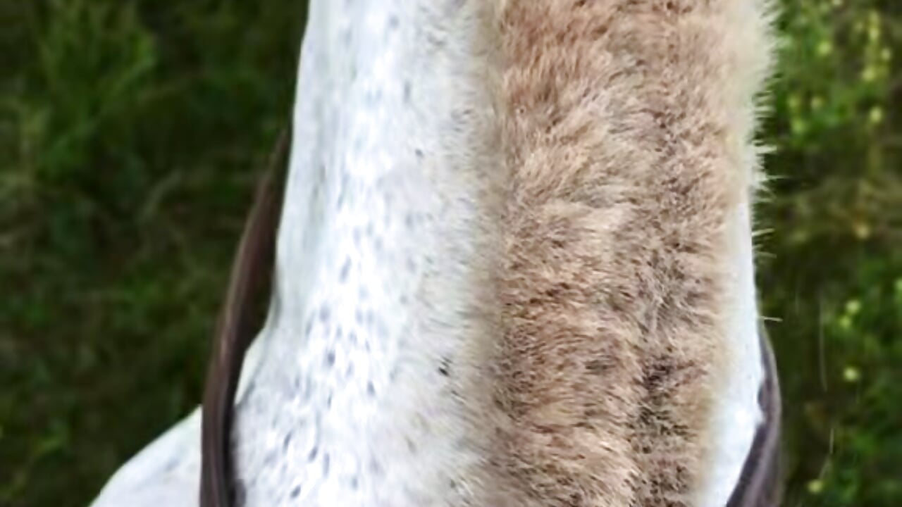 En conexión conmigo 🌾💖 - Vídeo de sweetcouple32, modelo de vídeos