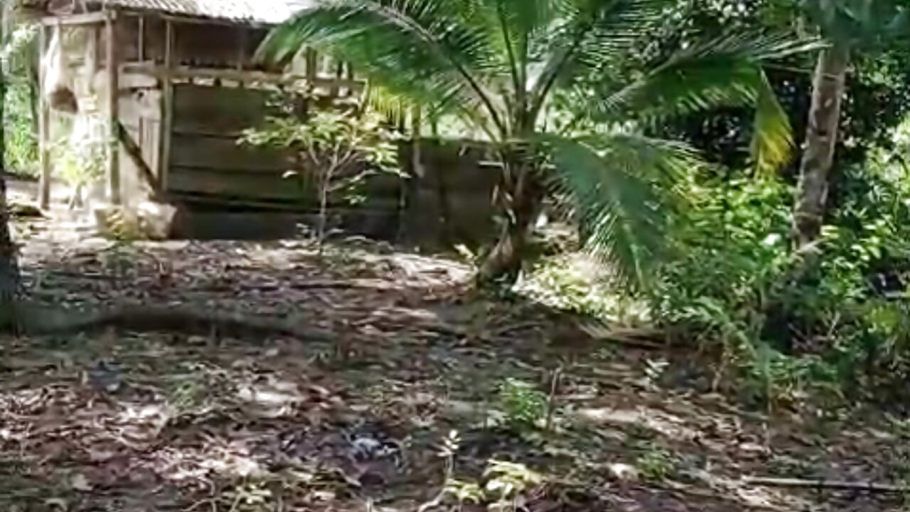 🇨🇴Naturaleza colombia🇨🇴 - video van NikollSalas cam-model
