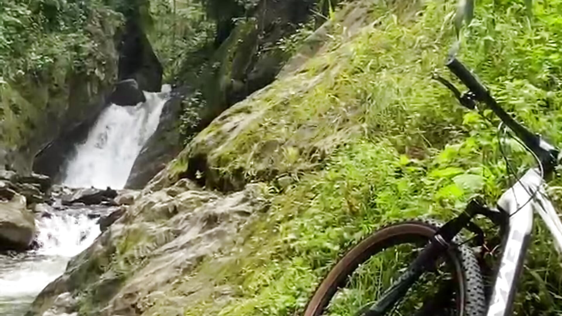 day in nature - video by Reynoah cam model