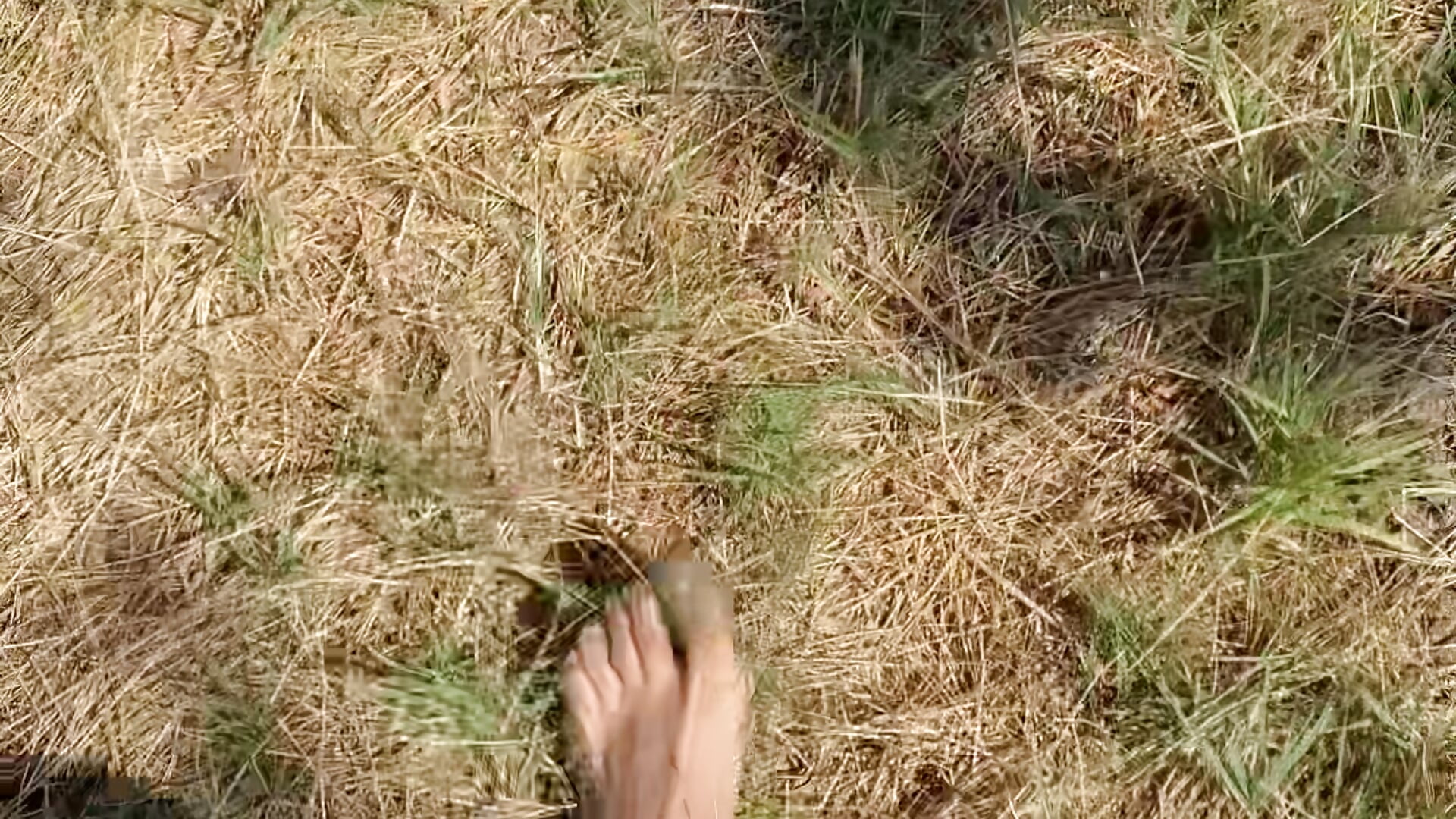 a little adventure - video by Reynoah cam model