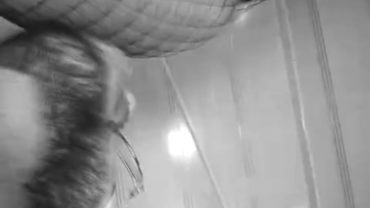 Naughty ass - วิดีโอโดย annie_and_ryan โมเดลแคม