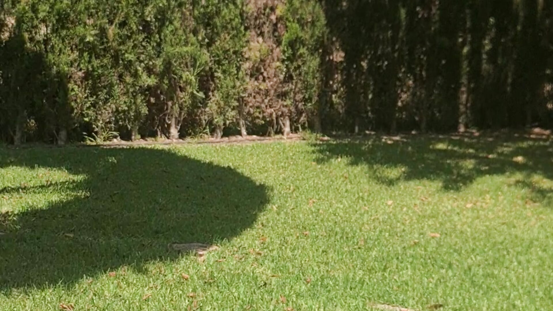 20250717_132655 - video by LorenaBrat cam model