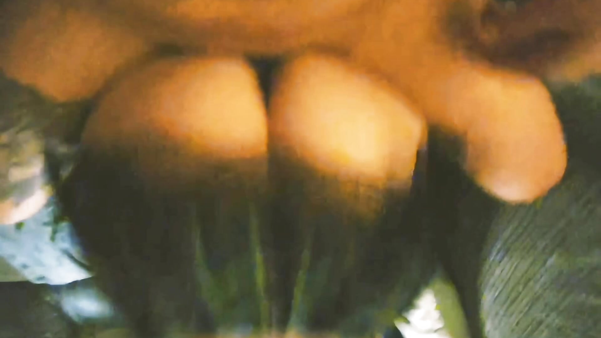 YouCut_20251213_154034363.mp4 - Vídeo de Sheena-James, modelo de vídeos