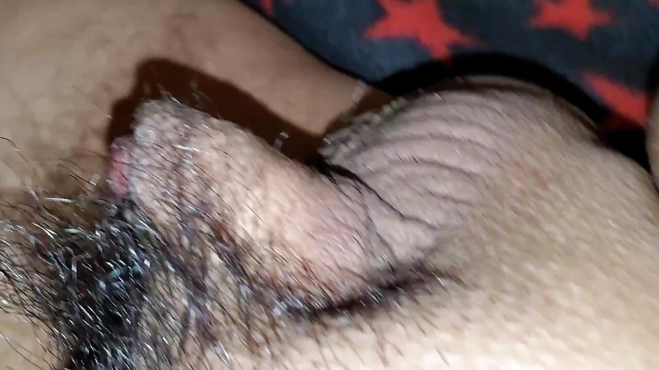 Tortuga Asomando la Cabeza - video by Schenko@xh