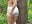 I take off my silk clothes erotically - clip cu Lovebackground