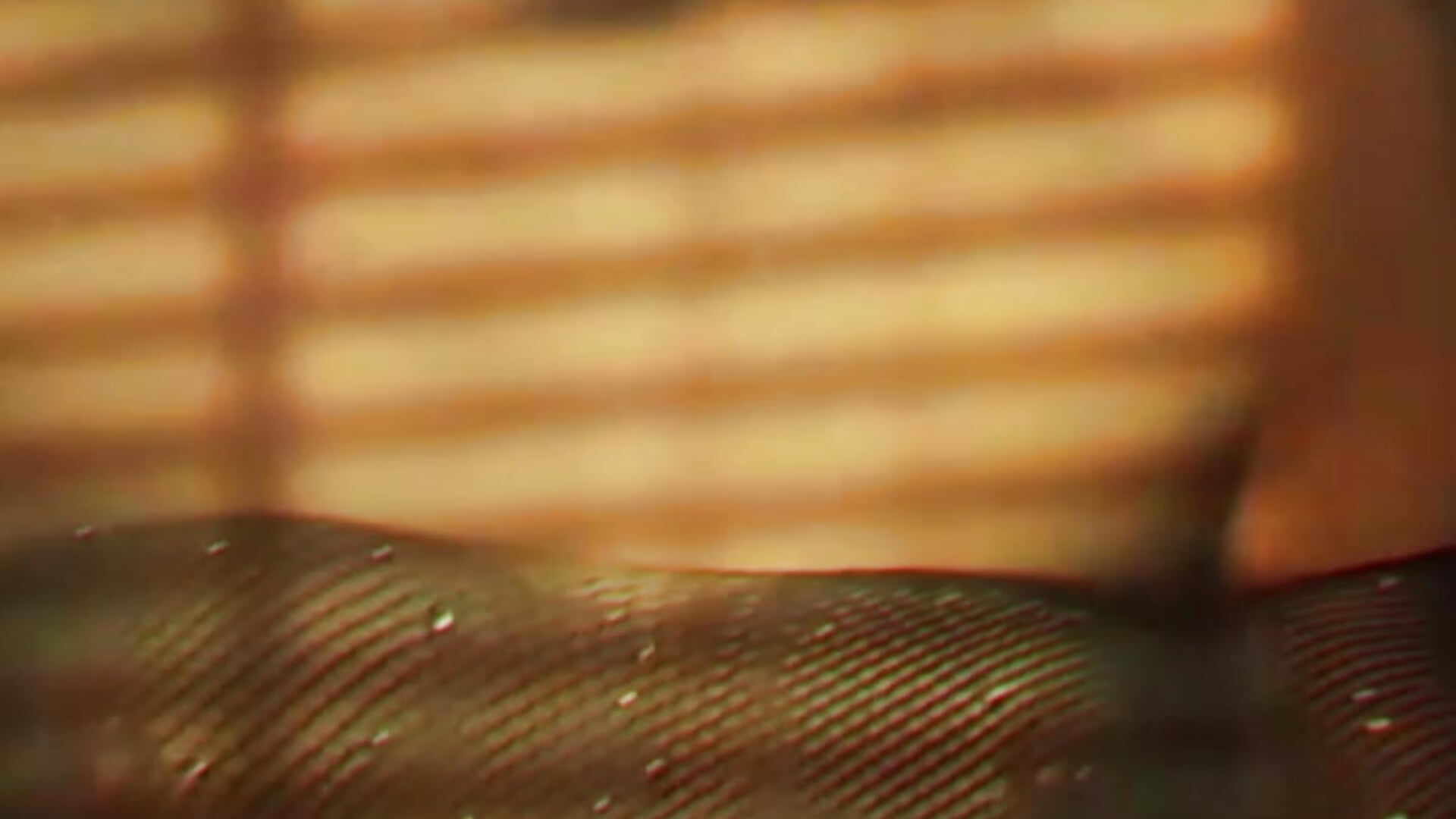 Mila1 - vídeo de Sarina_xxx modelo de câmara