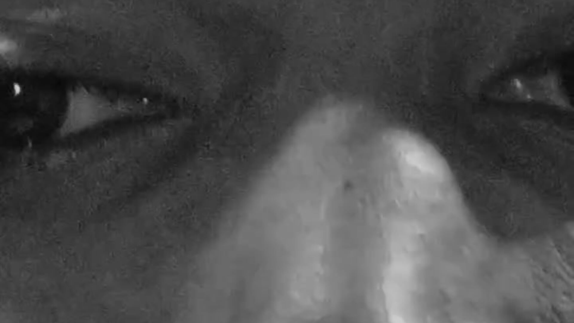 love - video by Higger_dick cam model