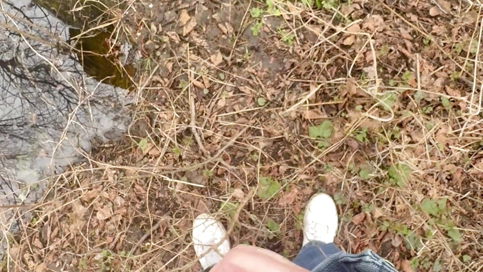 IMG_8404 - vidéo du modèle de showcams rrtbur