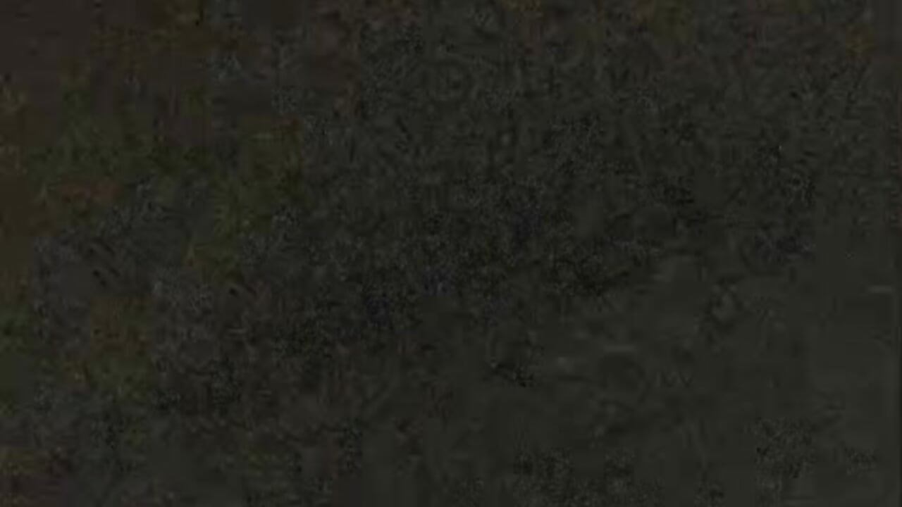 Masters, as this new year begins, we want to thank you from the heart. This space exists because of - video by Hardcore_Room_Bdsm cam model