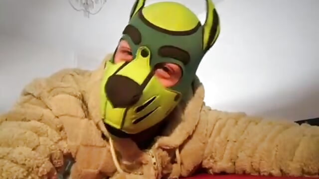 profile-intro-video-1769081254 – video od Robbigcum