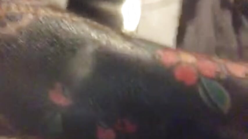 78790561922__E76FF369-93D5-4CB2-B17B-E7EDC101E57B - відео від вебкаммоделі Nenelarge69