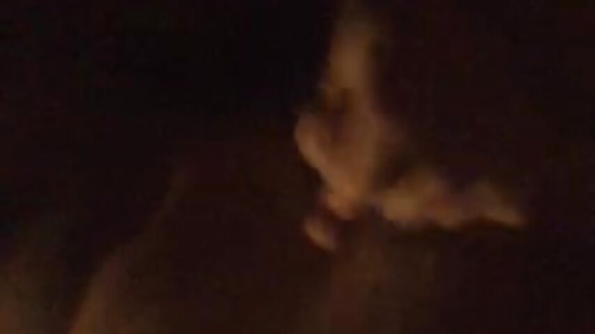 78790336480__E4FAB63A-9423-432A-8A3B-030A397AFD26 - відео від вебкаммоделі Nenelarge69