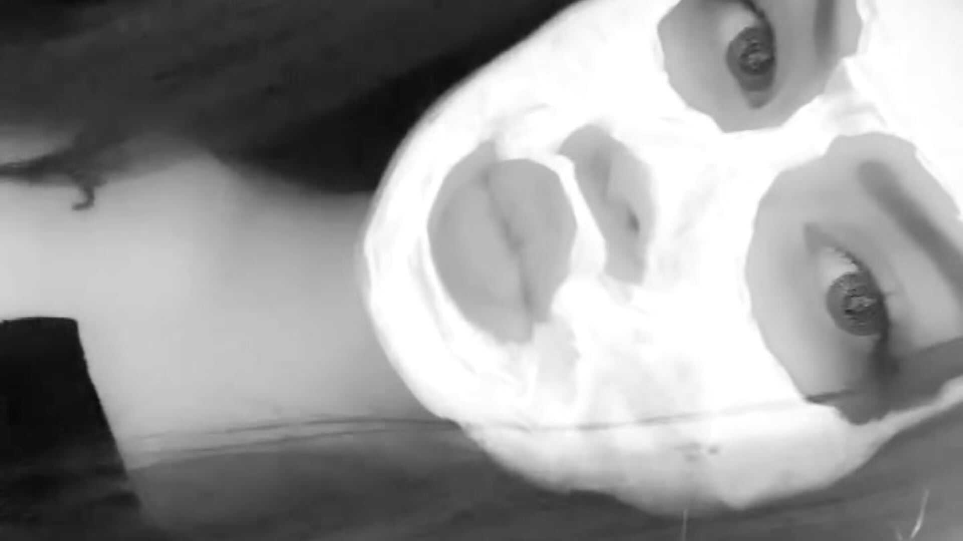 😌 - ক্যাম মডেল Melissaa00-এর ভিডিও