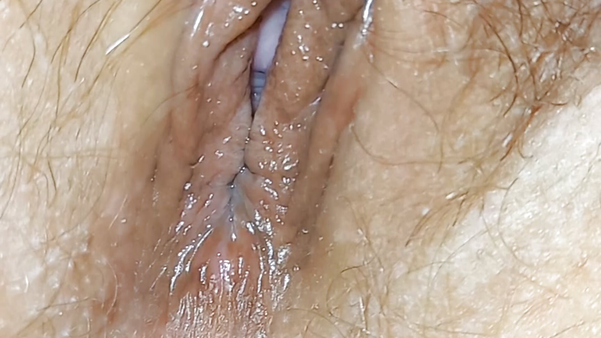 hairy 16