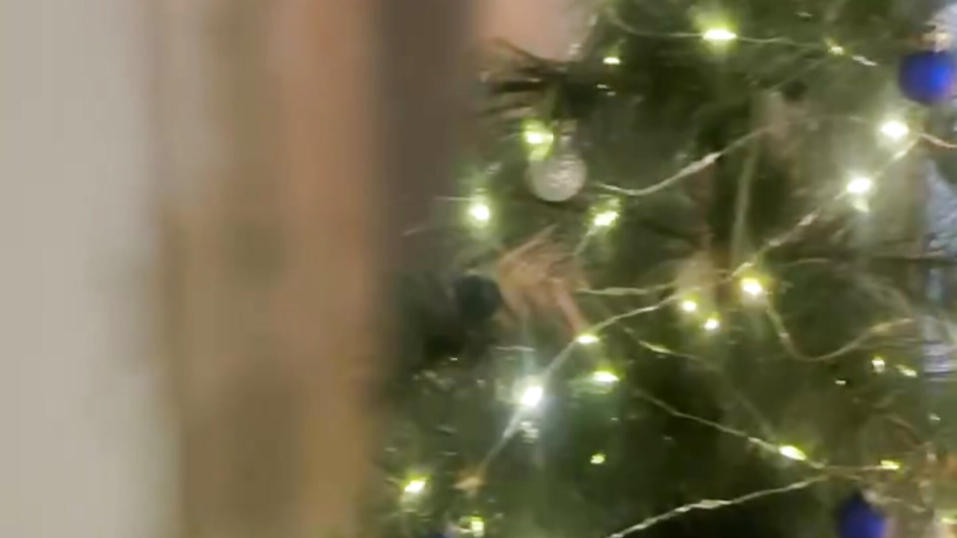 Christmas! - video của người mẫu cam Leyla_crsh