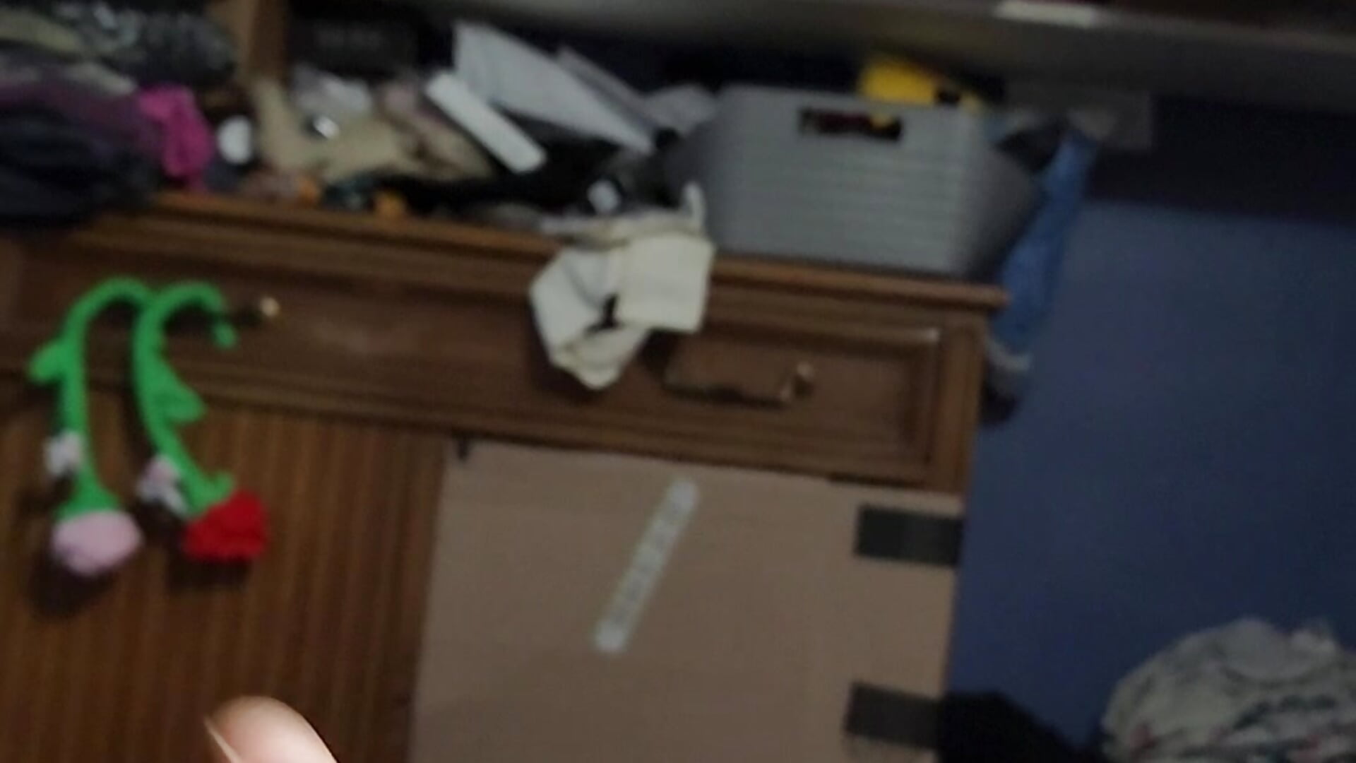 1000006886 - vidéo du modèle de showcams Bagod19841