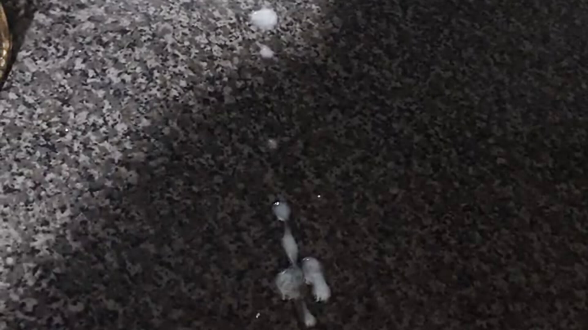My cum - 視頻由 nickhonry55 主播提供