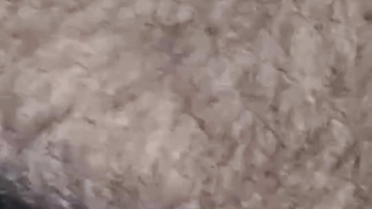 Ass play ▶️ - video by Ra_jaat_dalal cam model