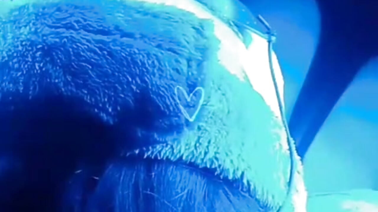 Briany - βίντεο μοντέλου Briana_Goldd