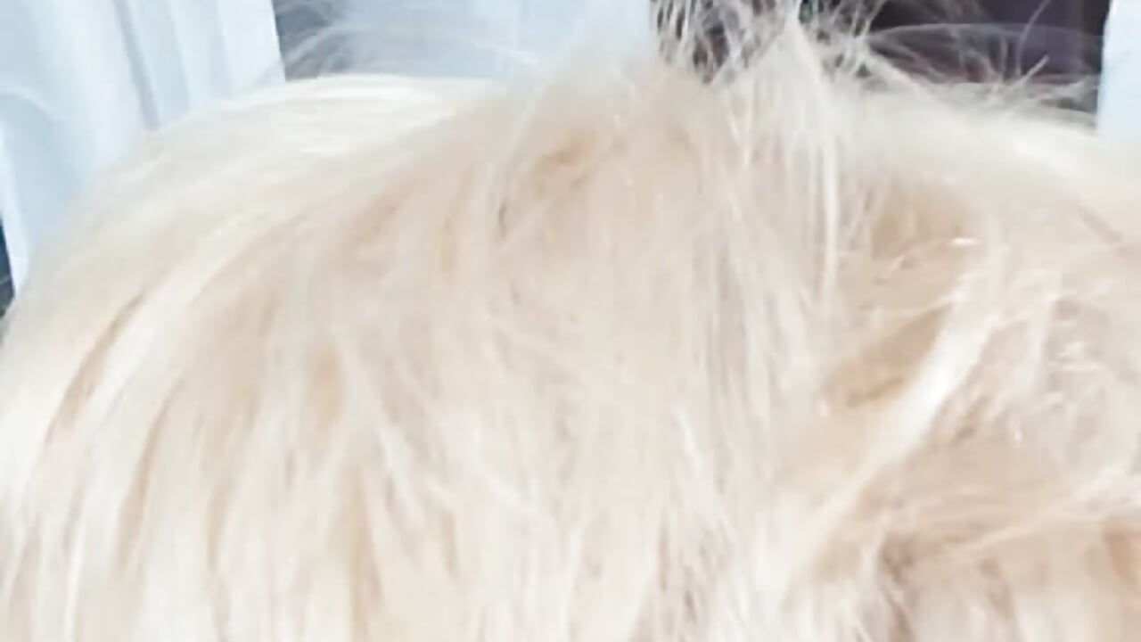 1000021689 - video by loveasiancock96 cam model