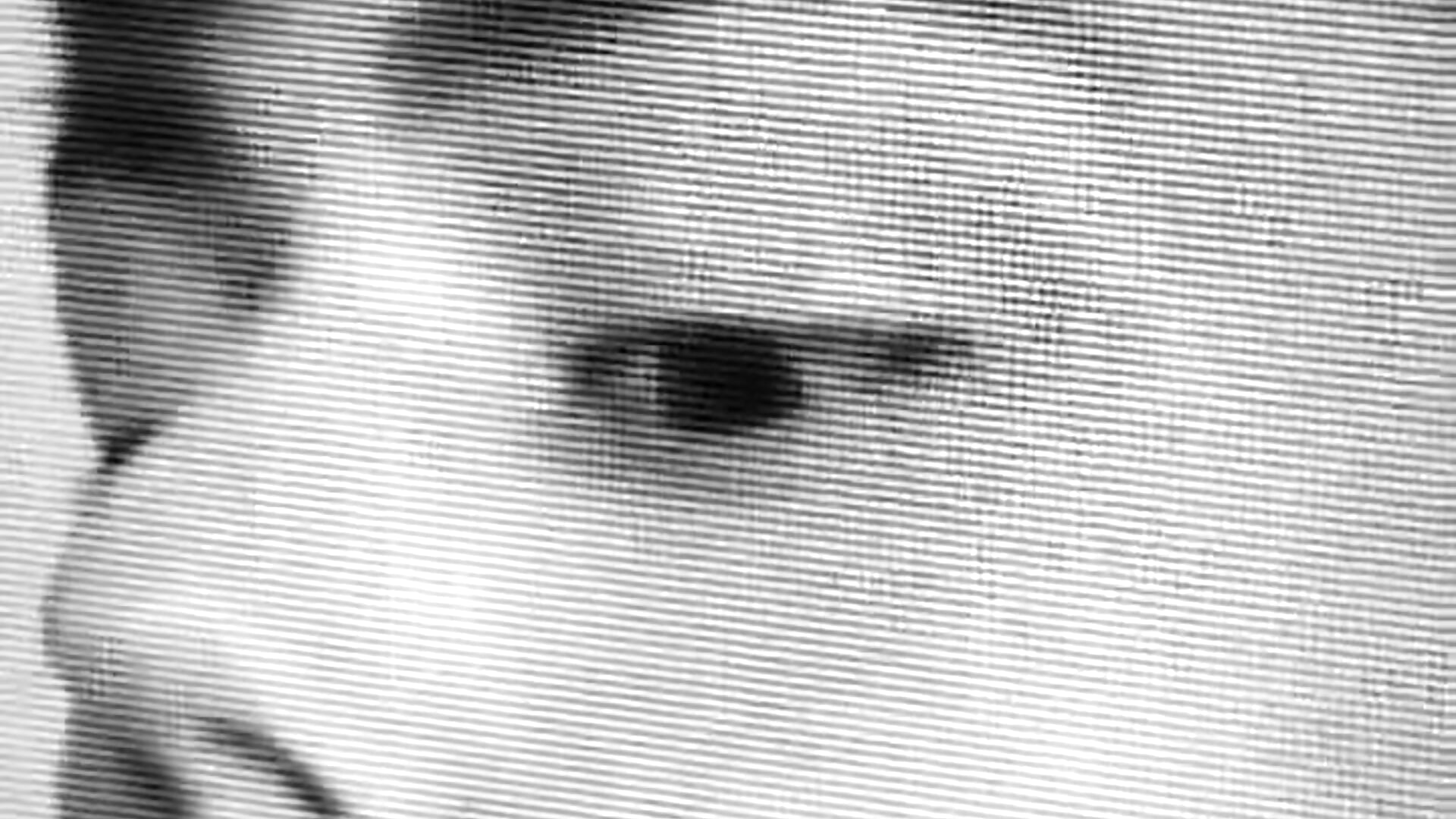 🎀 - vídeo de winsdor modelo de câmara