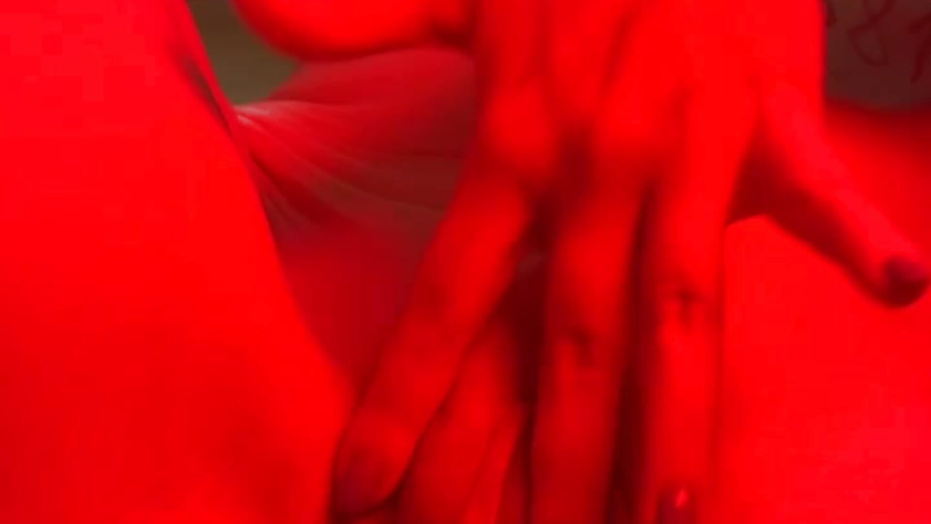 Playing with Pussy❤️