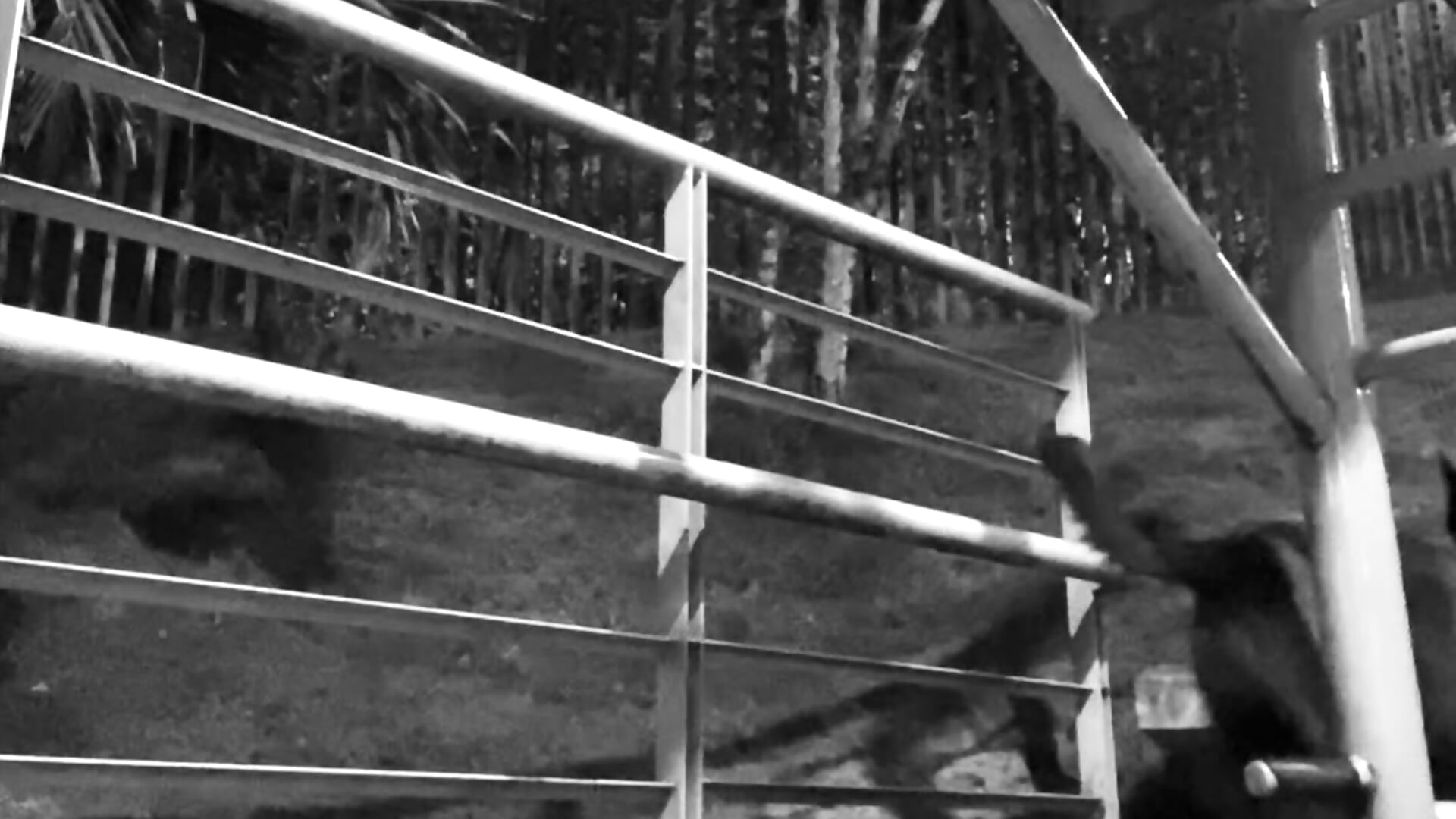 ABS training - video by Maicol_xxxx cam model