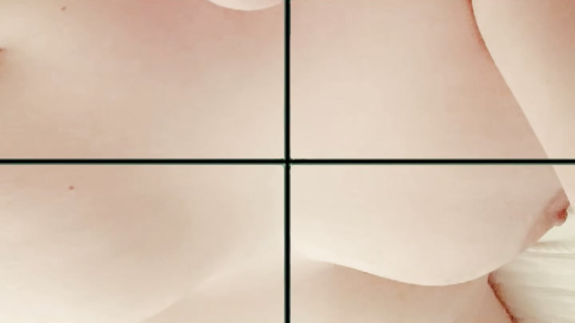 Foxy Roxy－カメラキャストのpinkcheetah12の動画