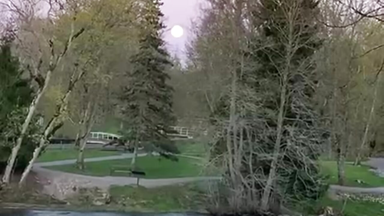 ♥ - video by pandalorian cam model