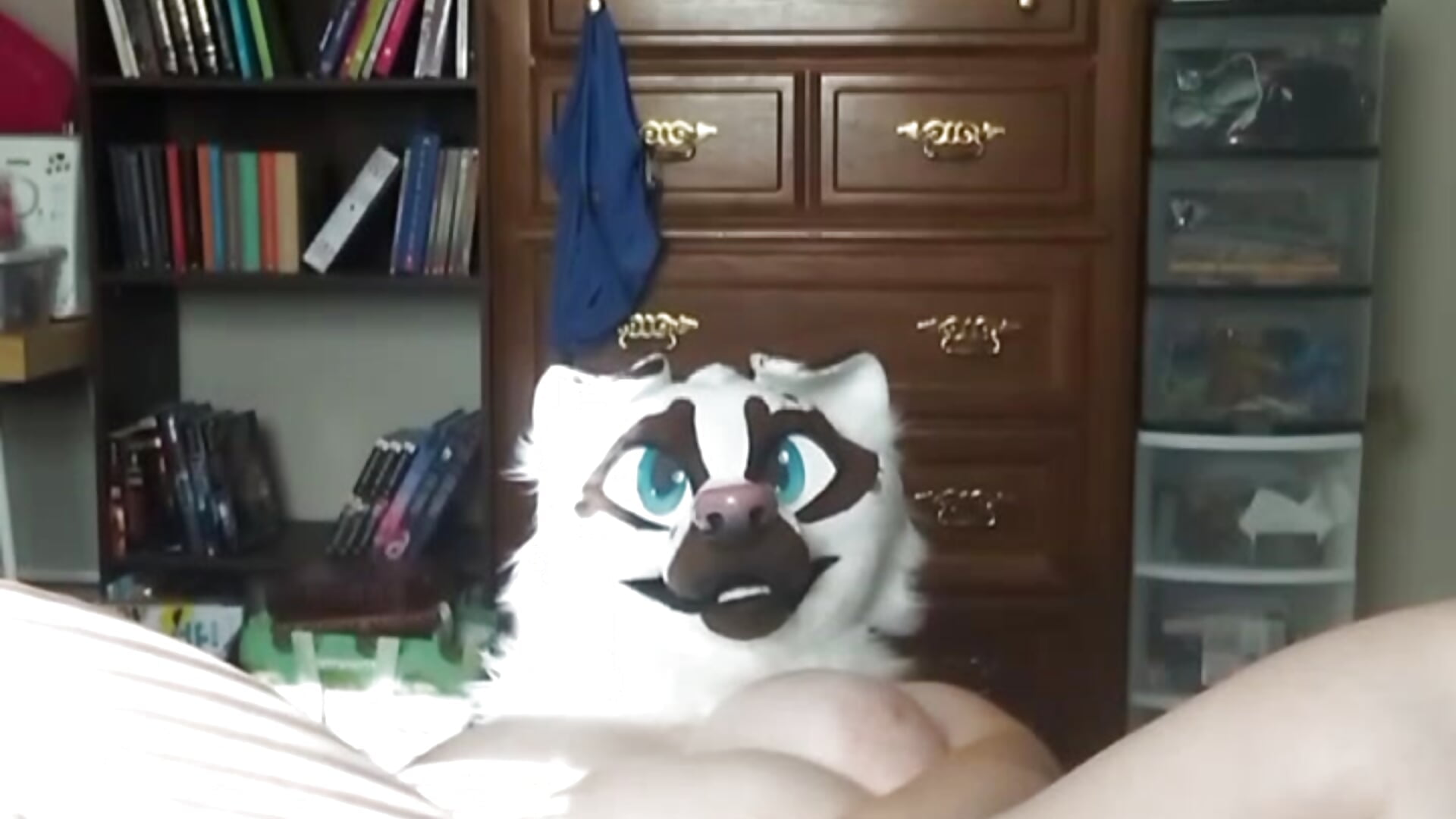 Good pup gets filled