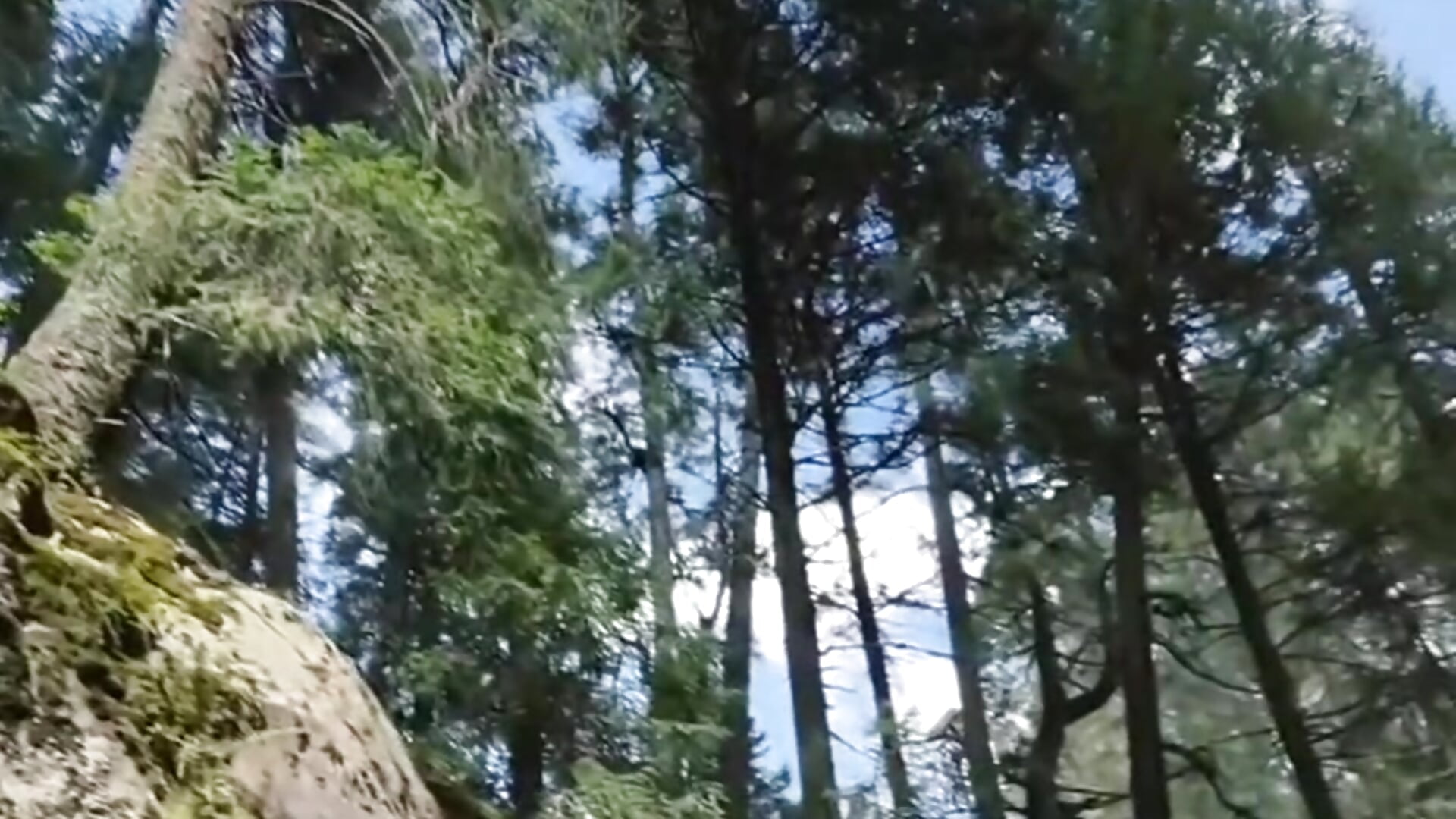 Día de relajo - Video von Amante_viajero Cam-Model