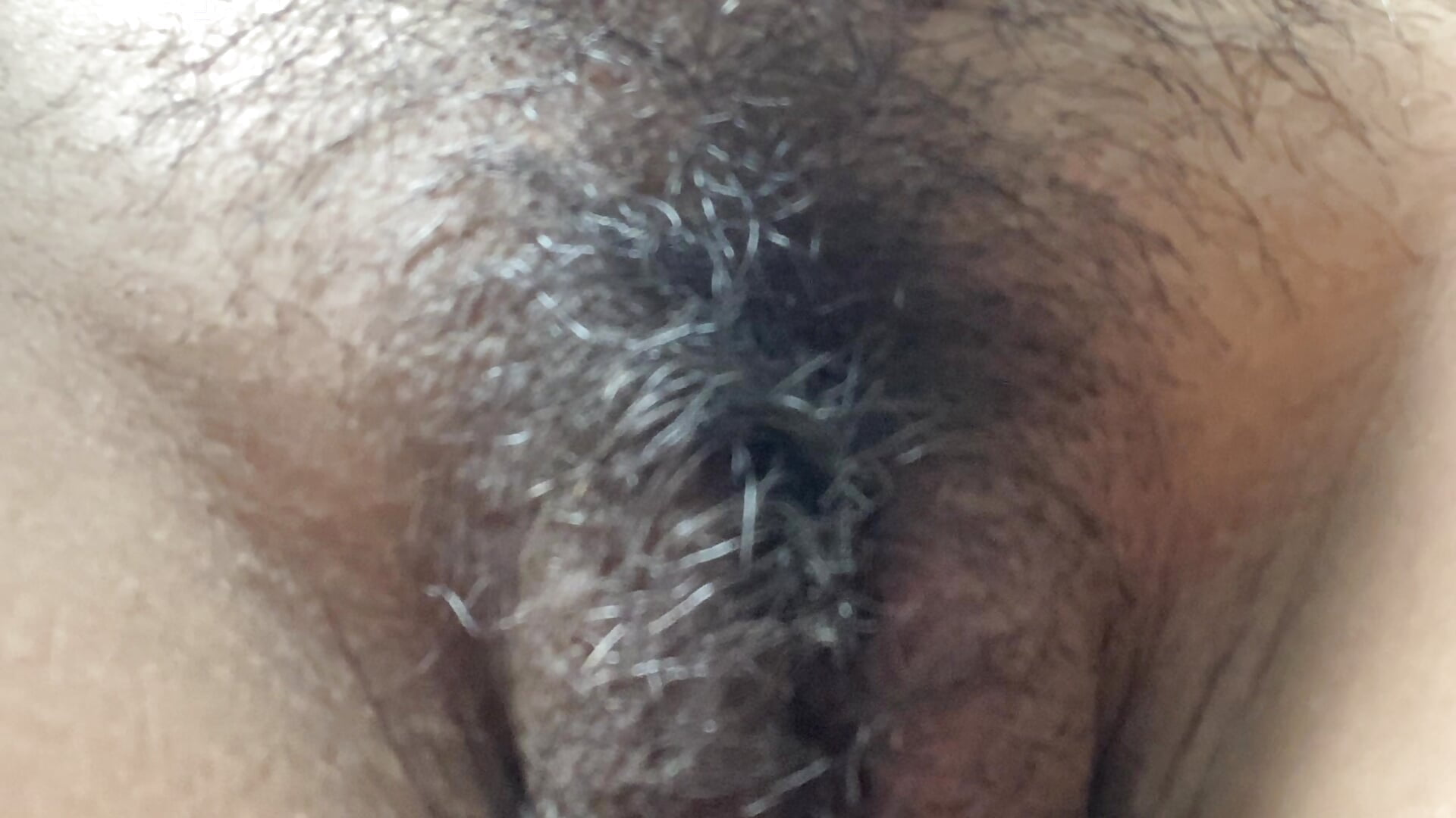 Hairy pussy 🔥