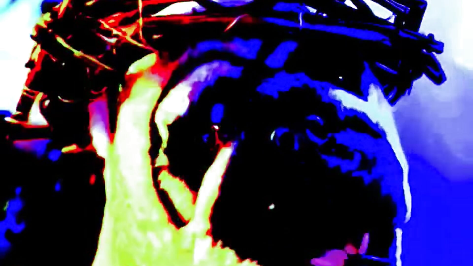 1000002056 - video av elephantsoup cam-modell